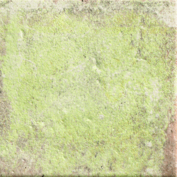 Natucer Tempo Moss 11x11 płytka rustykalna