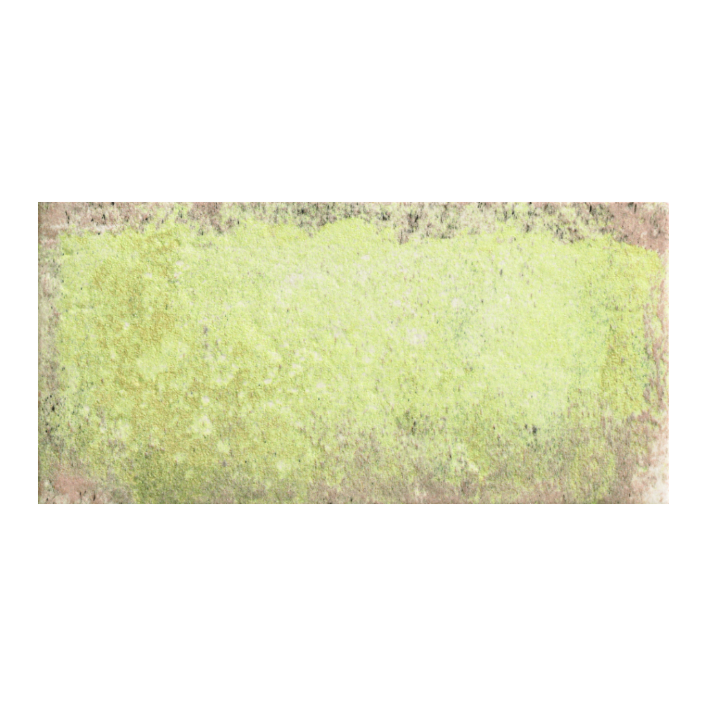 Natucer Tempo Moss 11x22,5 płytka rustykalna