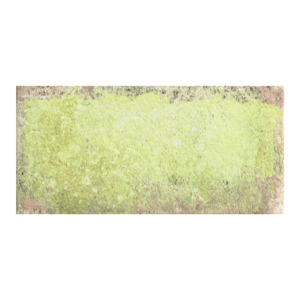 Natucer Tempo Moss 11x22,5 płytka rustykalna