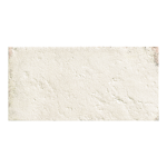 Natucer Tempo Rice 11x22,5 płytka rustykalna