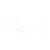 Museum Dual White SP/100x275/R płytka ze złotą żyłką