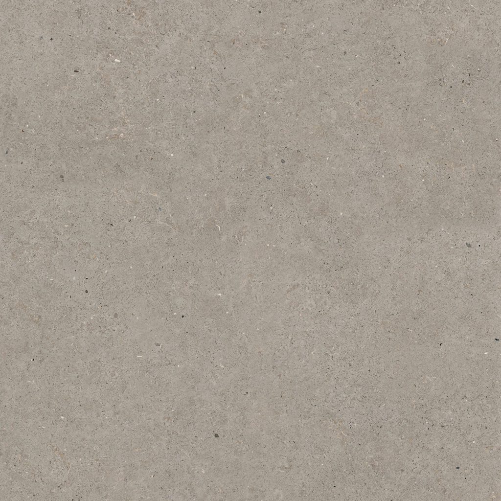 Durstone Somport Grey Natural 120x120 szara minimalistyczna płytka