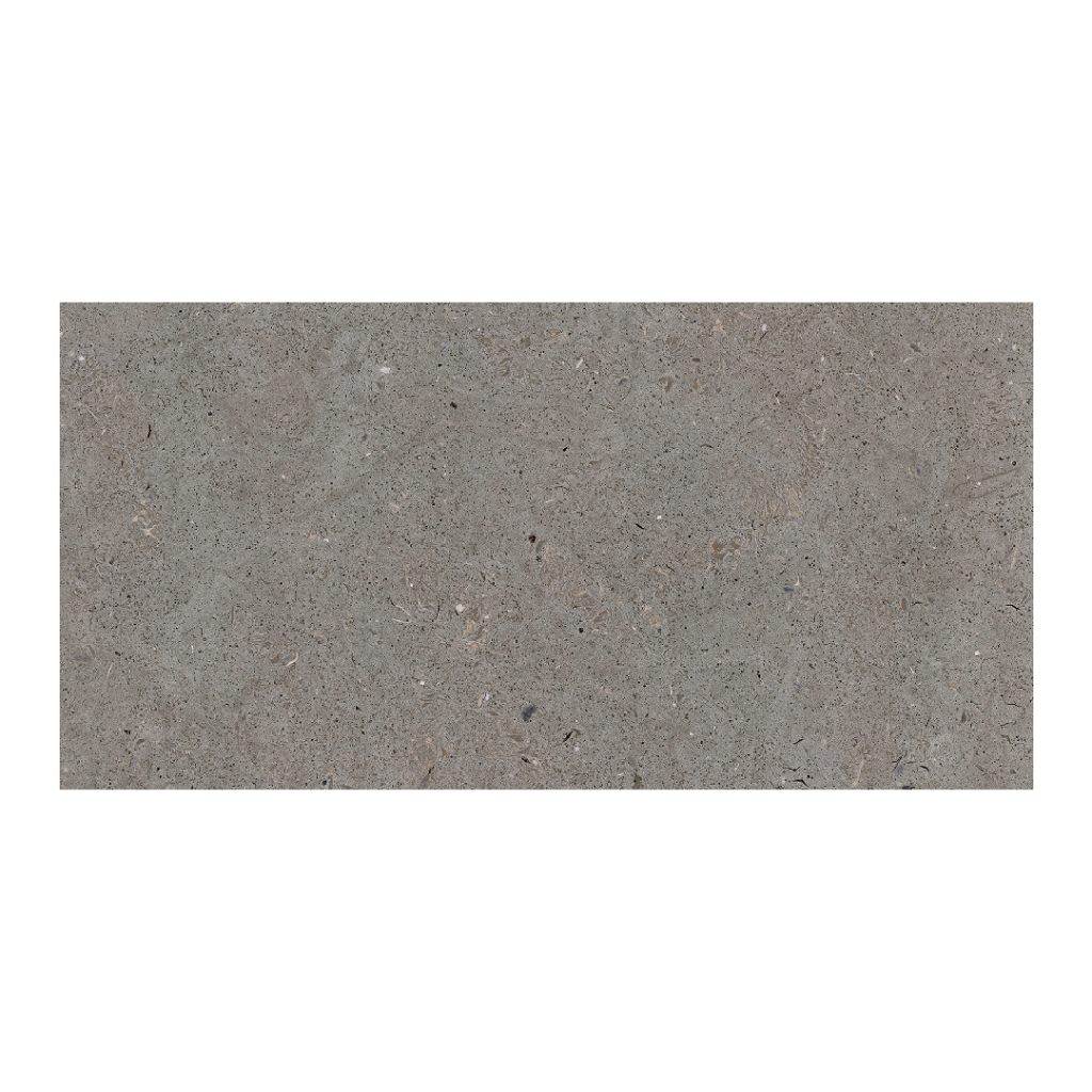 Durstone Somport Grey Natural 30x60 szara minimalistyczna płytka