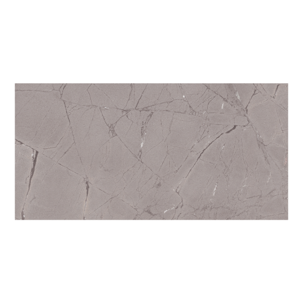 Museum Sublime Thunder NT/60x120/C/R matowa szara płytka z żyłką