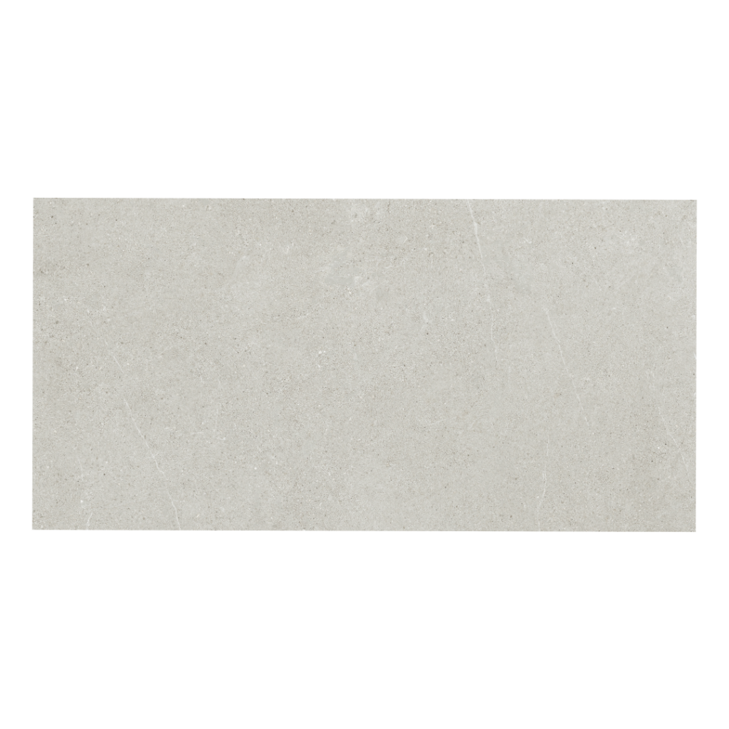 Ricchetti Ease/22 Light Grey płytka matowa 60x120