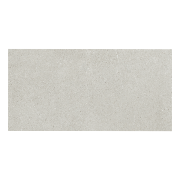 Ricchetti Ease/22 Light Grey płytka matowa 60x120