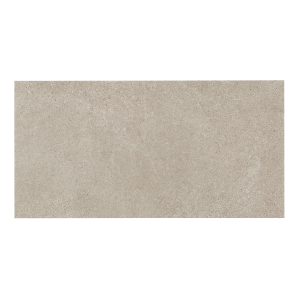 Ricchetti Ease/22 Greige płytka matowa 60x120