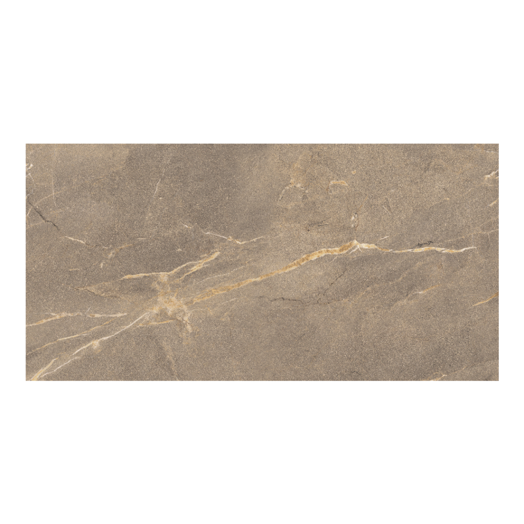 Ricchetti Neolitica Medea płytka ze złotą żyłką 60x120