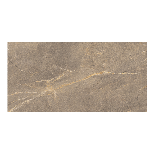 Ricchetti Neolitica Medea płytka ze złotą żyłką 60x120