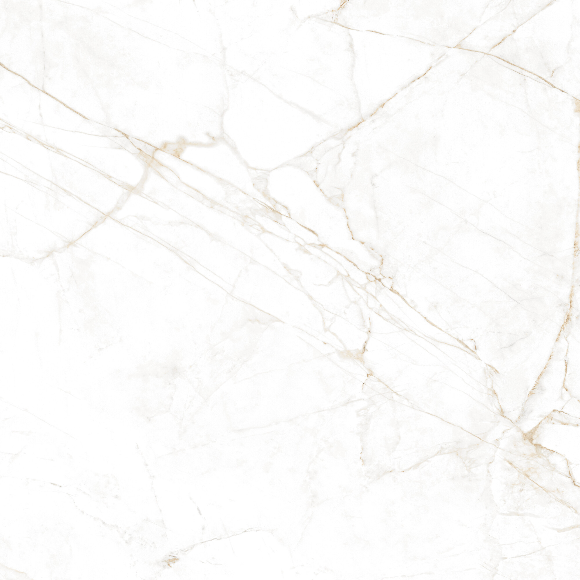 Museum Dual White NT/120x120/R płytka ze złotą żyłką Museum Dual White NT/120x120/R płytka ze złotą żyłką