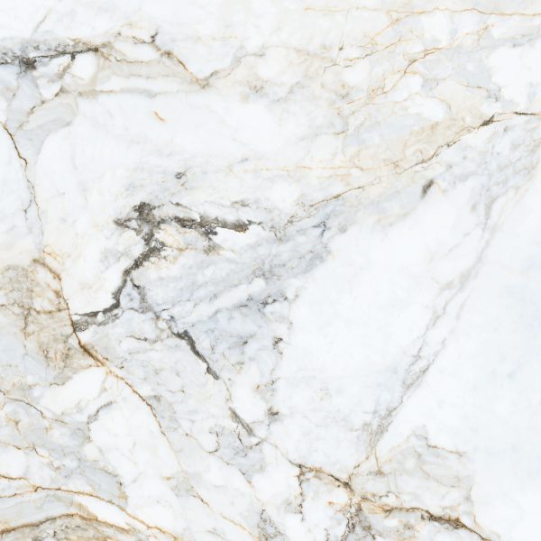 Pamesa Pisa Gold Mat 160x160 marmur Macchia Vecchia