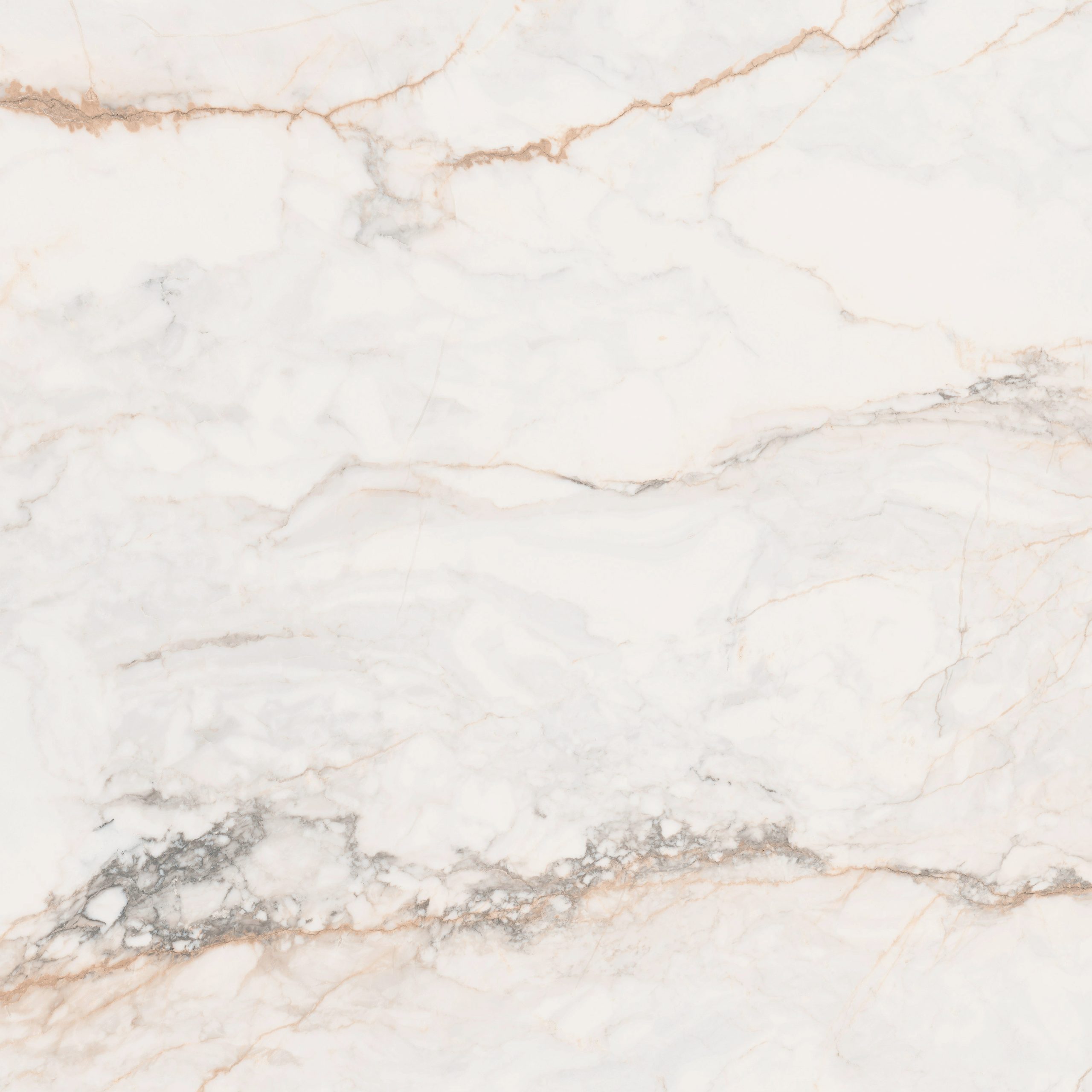 Pamesa Pisa Gold Mat 120x120 marmur Macchia Vecchia Pamesa Pisa Gold Mat 120x120 marmur Macchia Vecchia